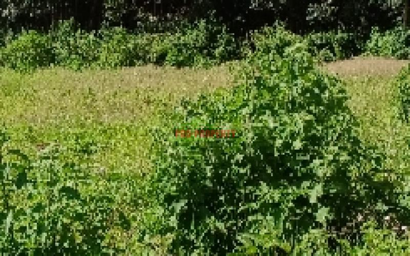 Prime Residential Plot For Sale In Kikuyu, Gikambura Along Jambu Tv