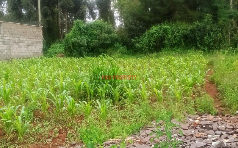 Prime Residential Plot For Sale In Kikuyu, Gikambura