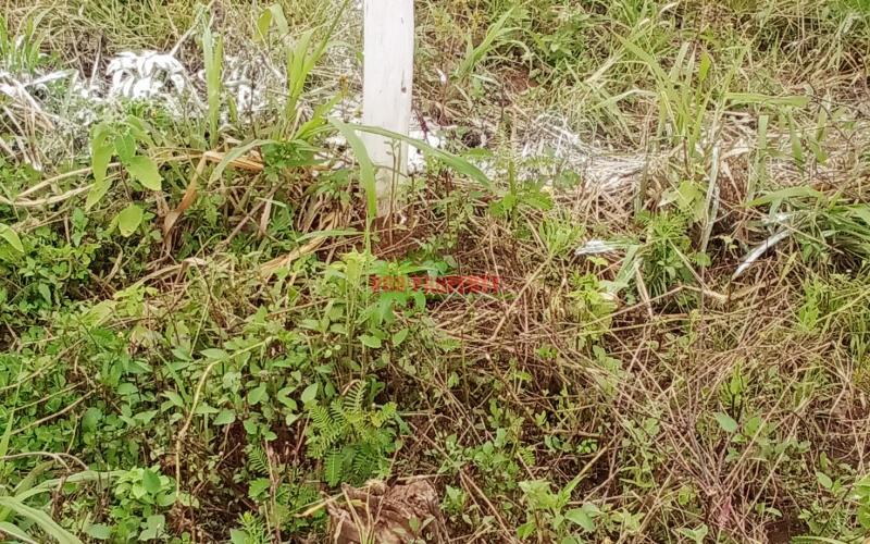 Prime Residential Plot For Sale In Kikuyu, Nguirubi