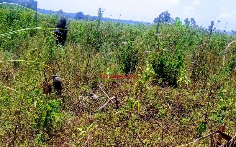 Prime Residential plot for sale in kikuyu, Ng'amba