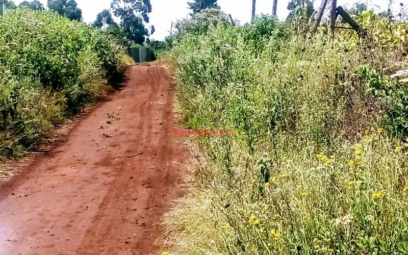 Prime Residential Plot For Sale In Kikuyu, Ng'amba