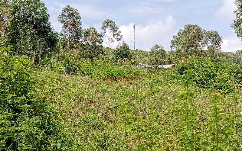 Prime Residential Plot For Sale In Kikuyu Nachu