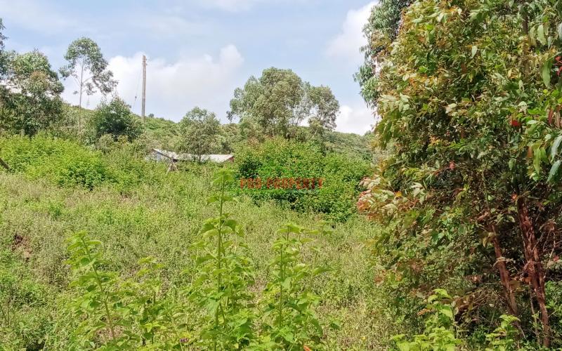 Prime Residential Plot For Sale In Kikuyu Nachu