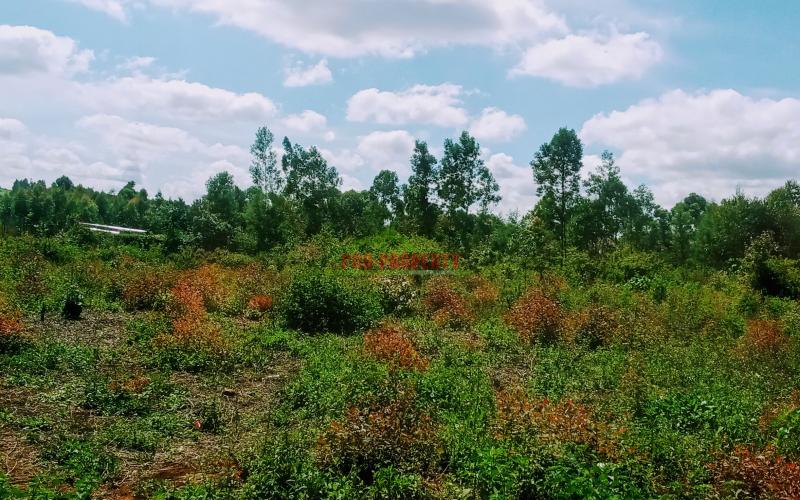 Prime 50 By 100ft Residential Plot For Sale In Kikuyu, Ondiri