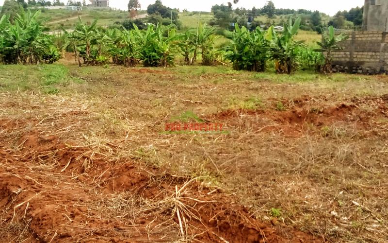 Prime 50*100ft Residential Plot For Sale In Kikuyu, Lusingetti