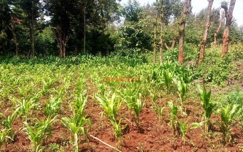 Prime  Residential Plot For Sale In Kikuyu, Ondiri