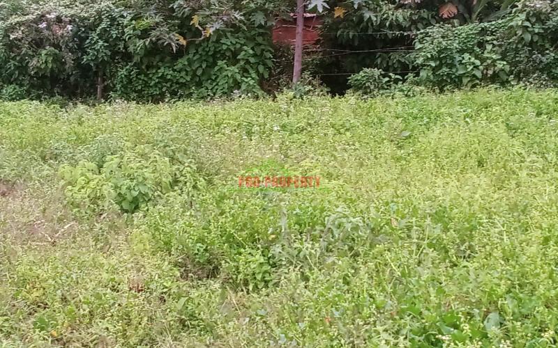 Prime 50 By 100ft Residential Plot For Sale In Kikuyu, Kamangu
