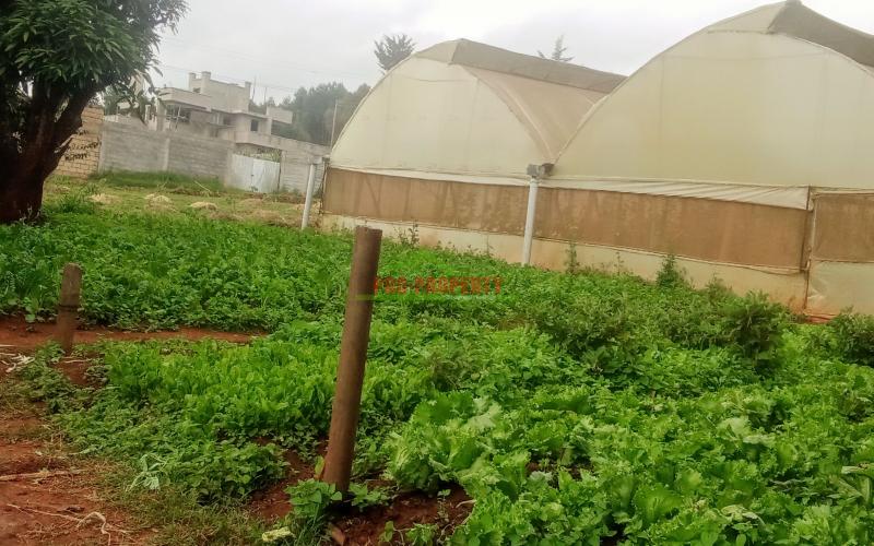 Prime Residential Plot For Sale  In Kikuyu, Ondiri