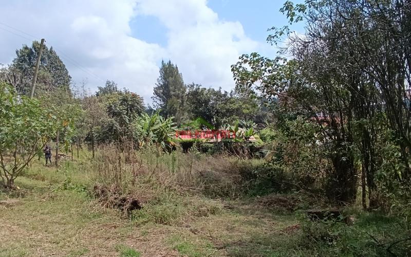 Prime Plot For Sale In Gitaru, Kikuyu