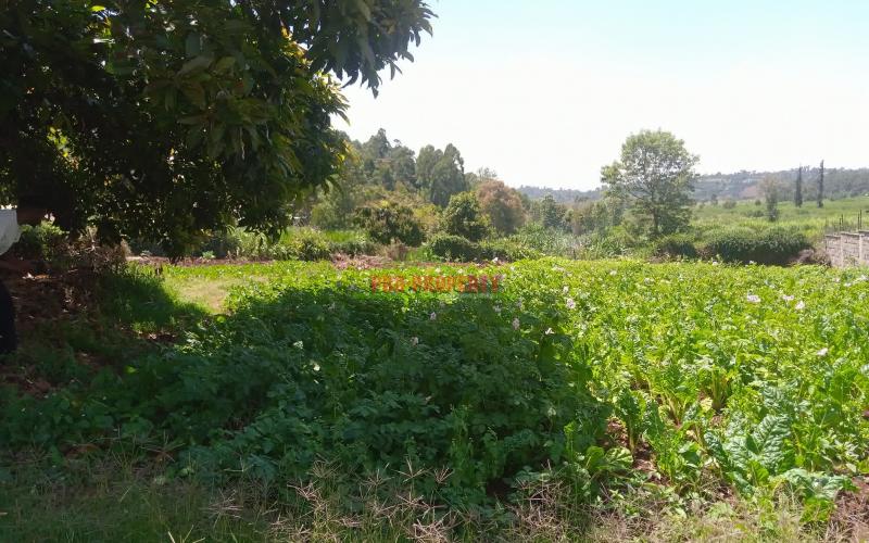 Prime 50*100 residential plots for sale in Kikuyu Ondiri.