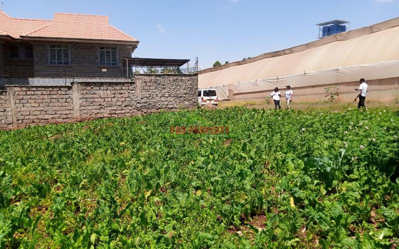 Prime 50*100 Residential Plots For Sale In Kikuyu Ondiri.