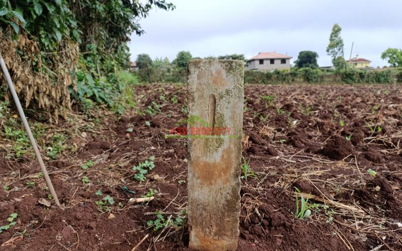 Commercial Plot For Sale In Muthure, Kikuyu