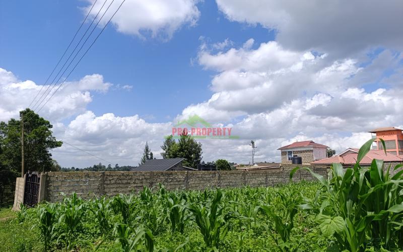 Prime Plot For Sale In Muthure, Kikuyu