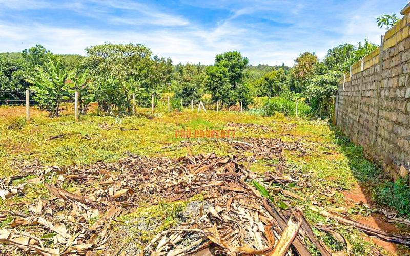 Prime Residential Plot For Sale In Kikuyu, Gikambura