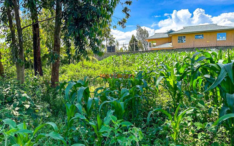 Prime Residential Plot For Sale In Kikuyu, Gikambura.