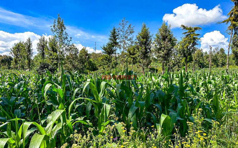 Prime Residential Plot For Sale In Kikuyu, Gikambura.