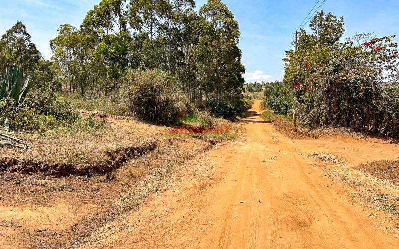 Residential Plots For Sale In Kikuyu, Kamangu, Nguirubi Area