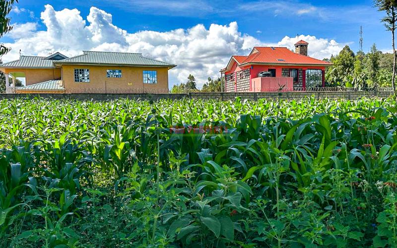 Prime Residential Plot For Sale in Kikuyu, Gikambura.