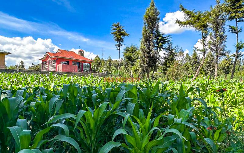 Prime Residential Plot For Sale In Kikuyu, Gikambura.