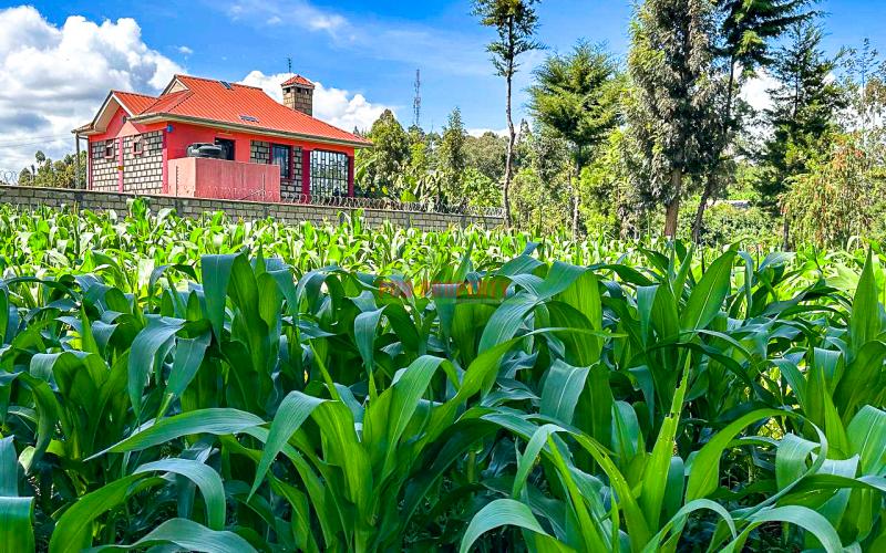 Prime Residential Plot For Sale In Kikuyu, Gikambura.