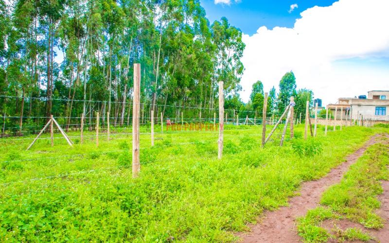 Prime Residential Plots For Sale In Kikuyu, Karai-migumoini Area.
