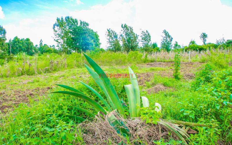 Prime Residential Plot For Sale In Kikuyu, Gikambura.