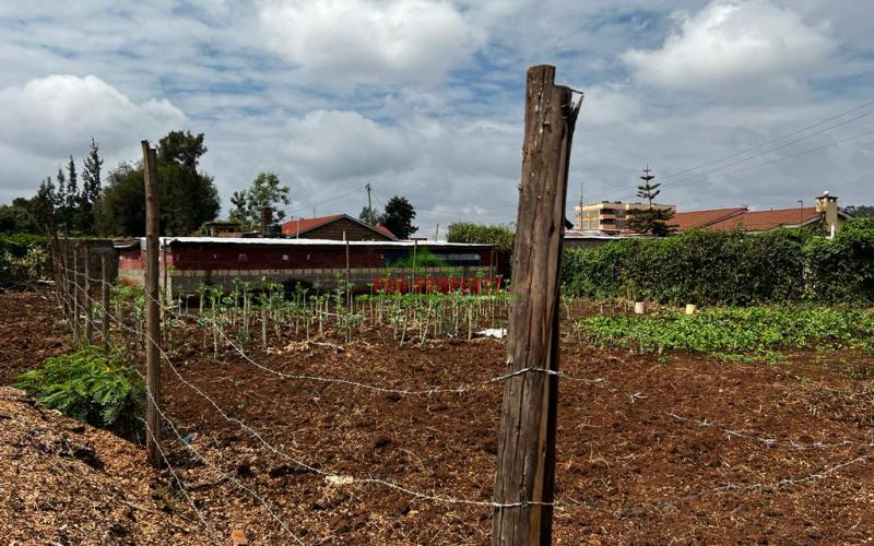 Prime Commercial Plot For Sale In Kikuyu, Zambezi.