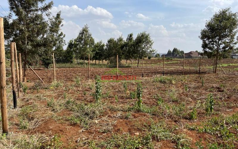Residential Plot For Sale In Kikuyu, Kamangu (migumoini Area).