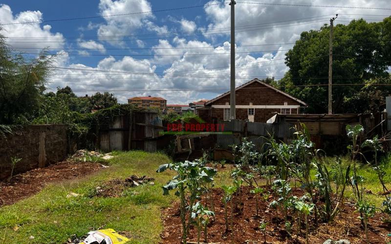 Prime 50 By 100 Fts Commercial Plot For Sale In Kinoo.