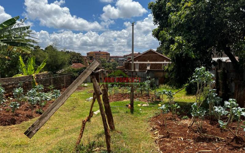 Prime 50 By 100 Fts Commercial Plot For Sale In Kinoo.