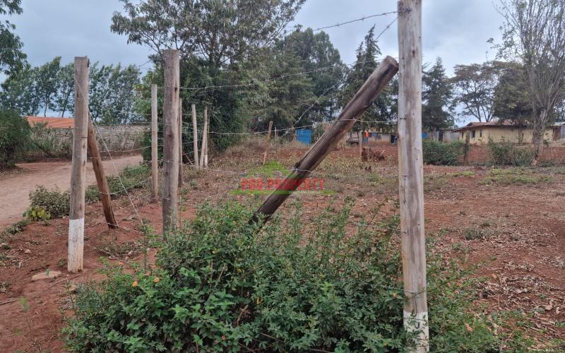 Prime Residential Plots For Sale In Kikuyu, Kamangu (migumoini)-kiambu County.