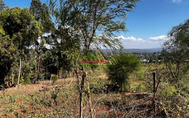 Prime Residential Plot For Sale In Kikuyu, Kamangu.