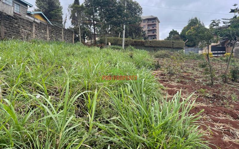 Commercial Plot For Sale In Kikuyu, Kidfarmaco.