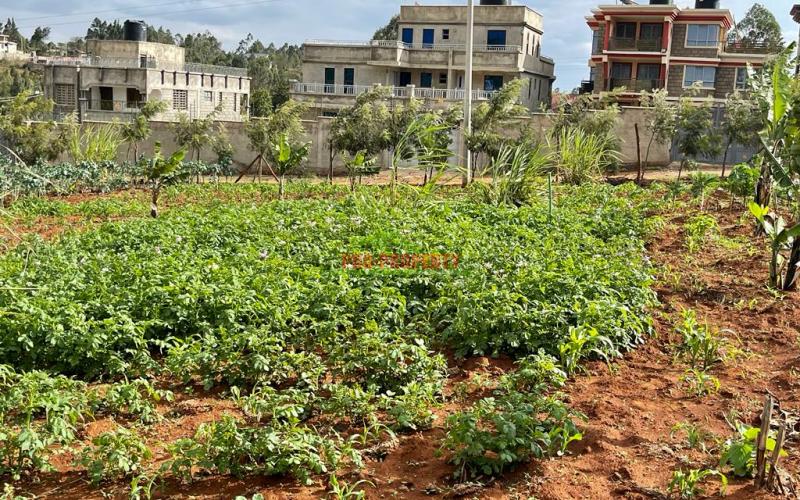 Residential Plot's For Sale In Kikuyu, Gikambura Along Jambu Tv  Road.