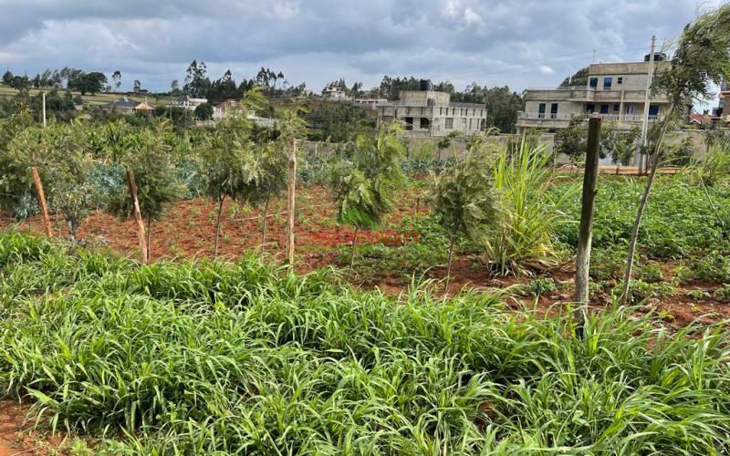 Residential Plot's For Sale In Kikuyu, Gikambura Along Jambu Tv  Road.