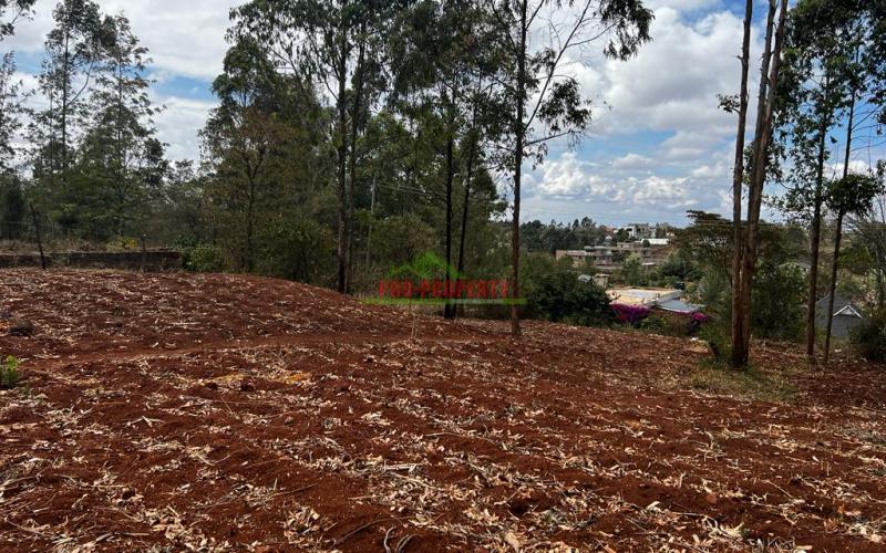 Prime Residential Plot For Sale In Kikuyu , Gikambura.