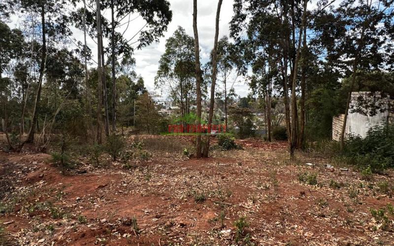 Prime Residential Plot For Sale In Kikuyu , Gikambura.