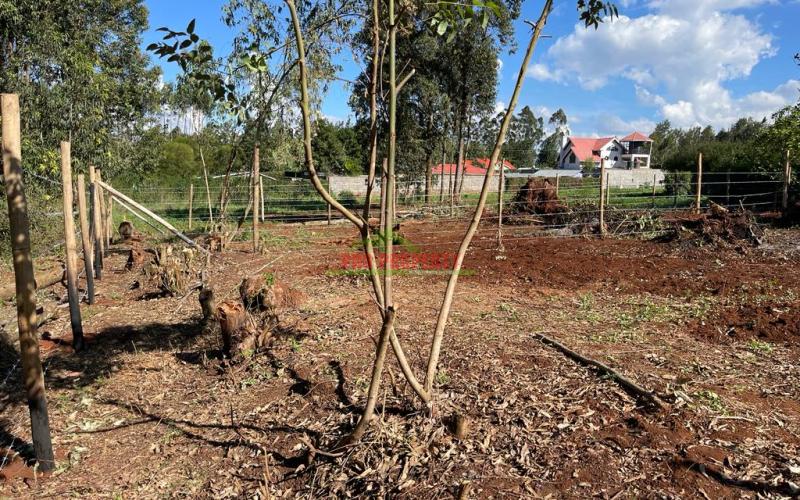 Residential Plots For Sale In Kikuyu, Gikambura.