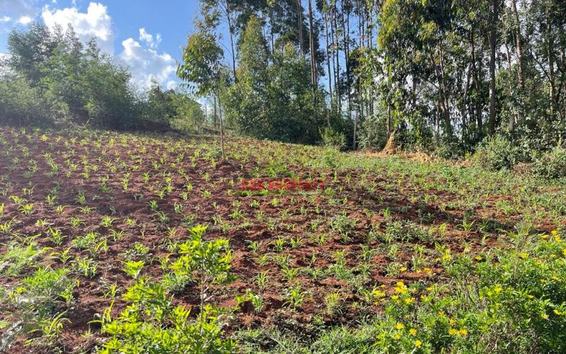 Residential Plots For Sale In Kikuyu Gikambura At The Southern Bypass.