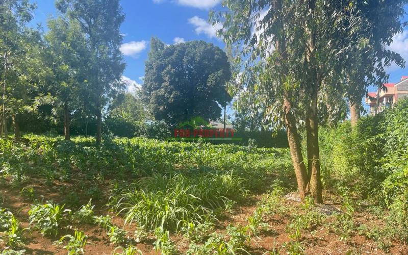 Prime Commercial Plot For Sale In Kikuyu, Thogoto Near The Southern Bypass.