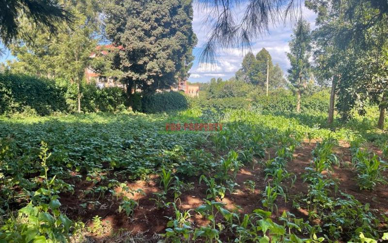 Prime Commercial Plot For Sale In Kikuyu, Thogoto Near The Southern Bypass.