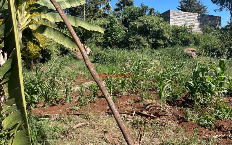Prime Commercial Corner Plot For Sale In Kikuyu, Thogoto Kiambu County.