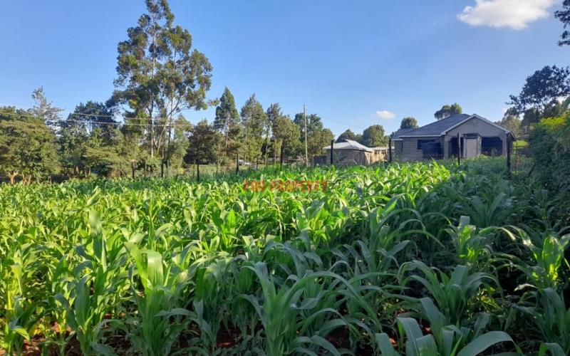 Commercial Plot For Sale In Kikuyu, Thogoto.