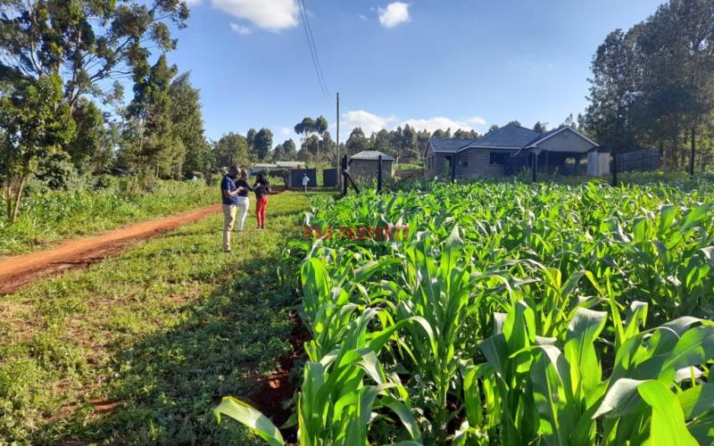 Commercial Plot For Sale In Kikuyu, Thogoto.