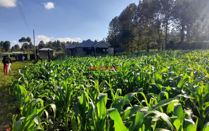 Commercial Plot For Sale In Kikuyu, Thogoto.