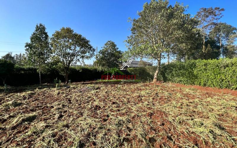 Prime Residential Plots For Sale In Kikuyu, Gikambura.