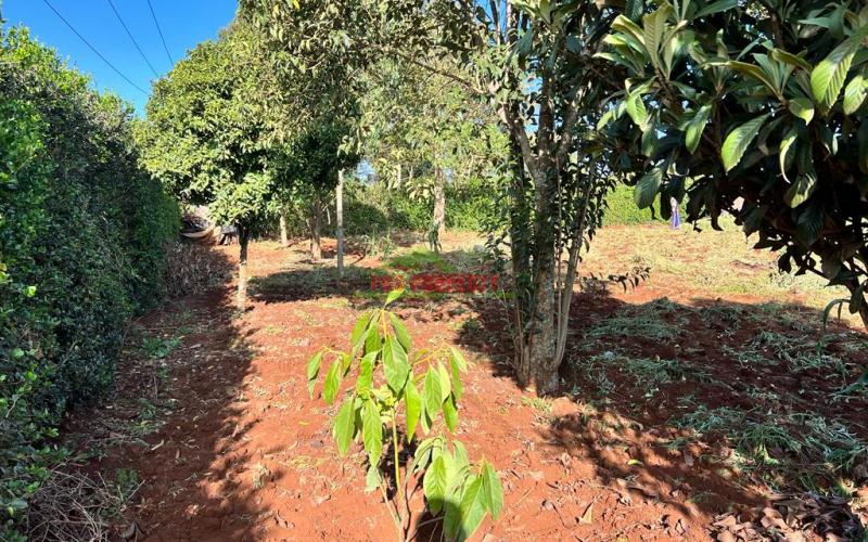 Prime Residential Plots For Sale In Kikuyu, Gikambura.