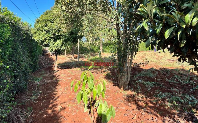 Prime Residential Plots For Sale In Kikuyu, Gikambura.