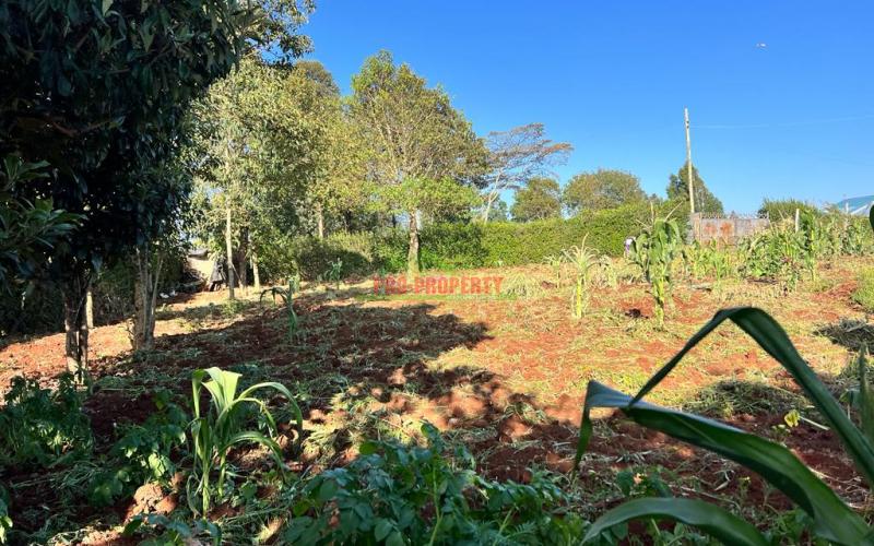 Prime Residential Plots For Sale In Kikuyu, Gikambura.