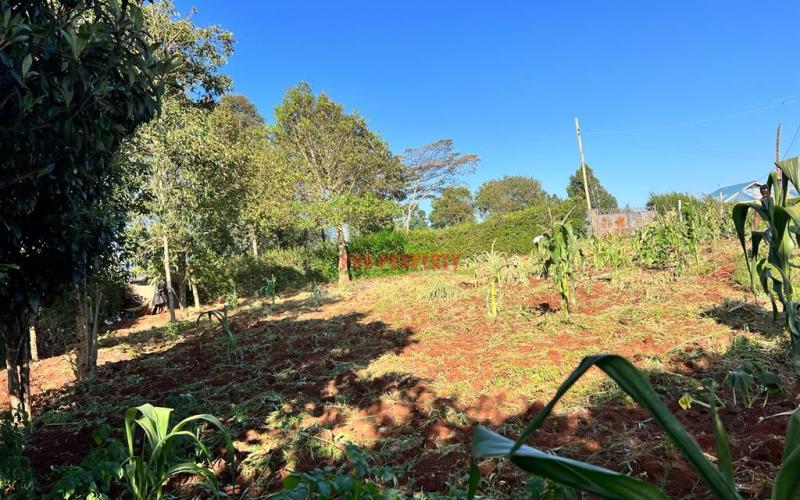 Prime Residential Plots For Sale In Kikuyu, Gikambura.